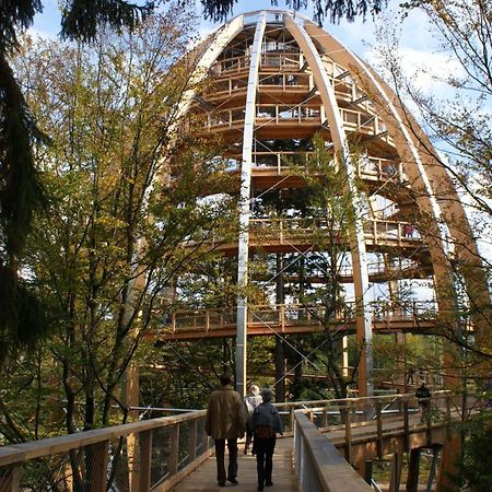 Haus Beate, Fewo Im Bienenparadies Kirchberg  Ngoại thất bức ảnh