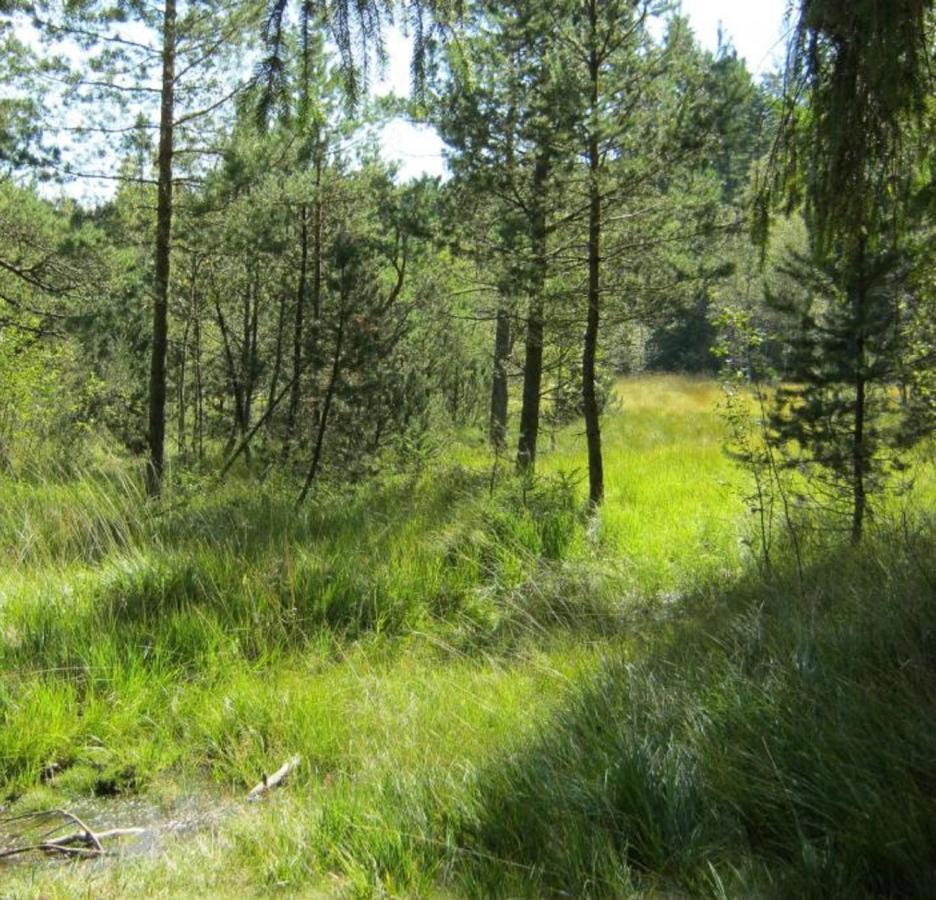 Haus Beate, Fewo Im Bienenparadies Kirchberg  Ngoại thất bức ảnh