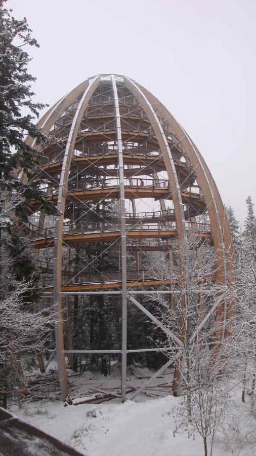 Haus Beate, Fewo Im Bienenparadies Kirchberg  Ngoại thất bức ảnh
